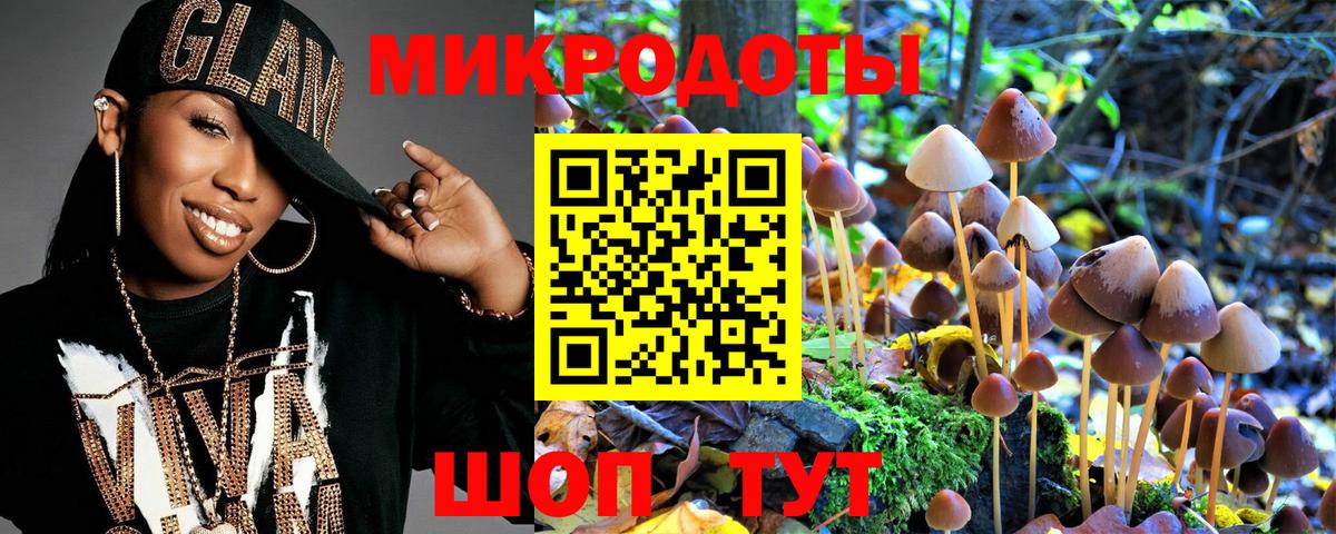 Моршанск  Галлюциногенные грибы GOLDEN TEACHER  Вход с VPN 