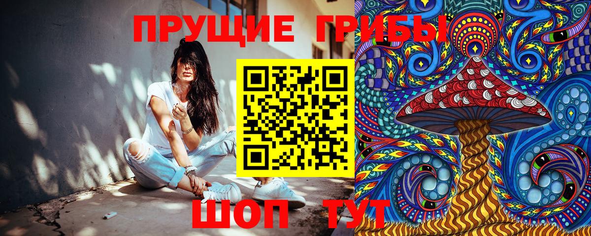 Галлюциногенные грибы Psilocybine cubensis Моршанск